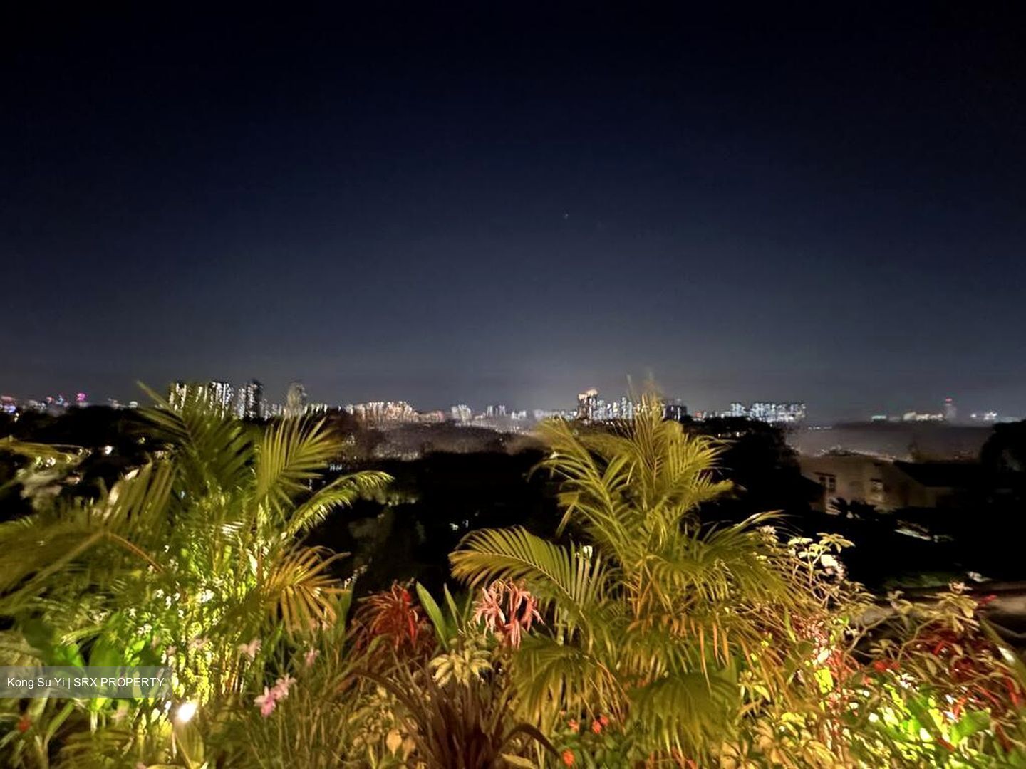 Shamrock Park (D10), Apartment #462612481
